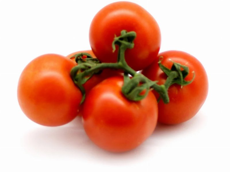 Tomate Rama Kg