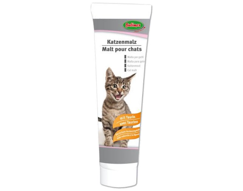 Pasta Malte Para Gato Bubimex Em Tubo 100 g