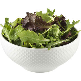 Salada Ibéria Sem Resíduos De Pesticidas Continente 100 gr