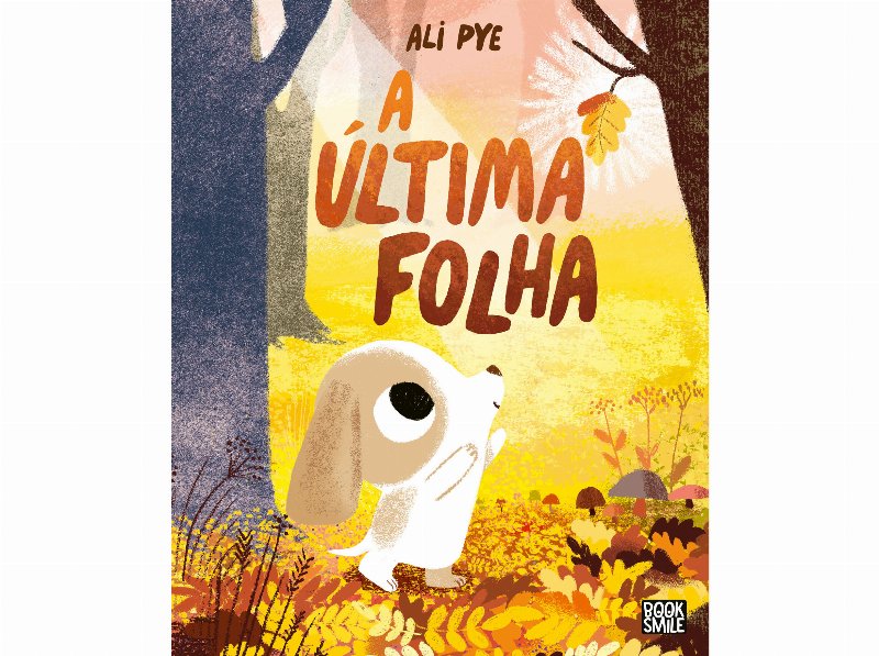 Livro A Última Folha De Ali Pye