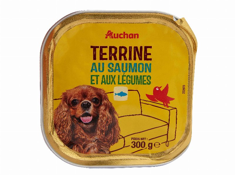 Comida Húmida Para Cão Auchan Terrina Com Salmão E Com Legumes 300 g