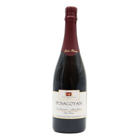 Penagoyam Espumante Tinto Bruto