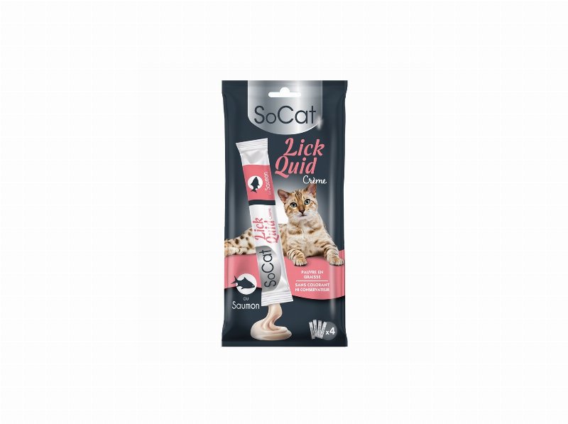 Snack Líquido Gato Riga So Cat Salmão 4Un