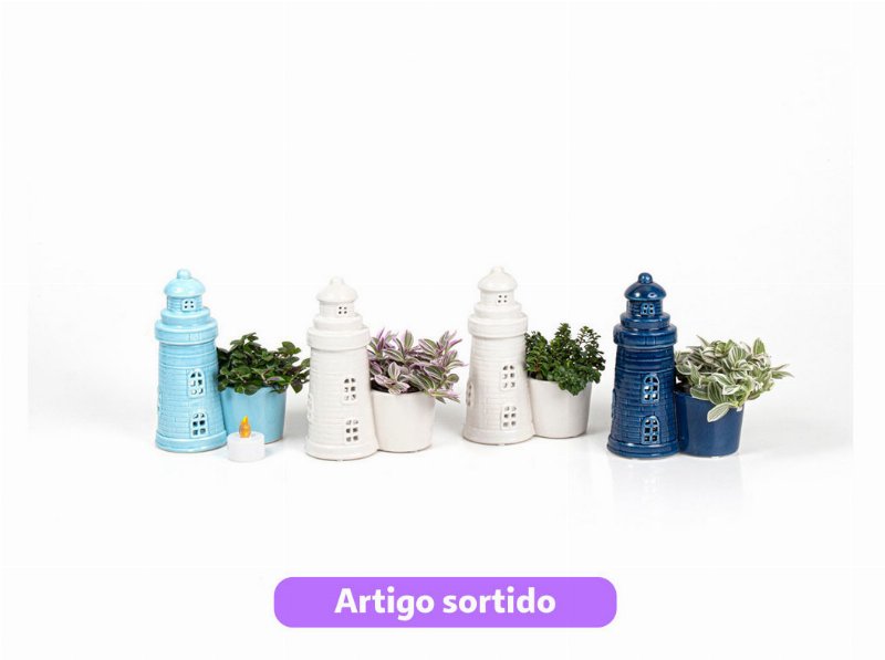 Mini Plantas Verdes Mix Oferta Vaso Farol Com Luz Vaso 6Cm Modelos Sortidos