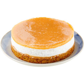Semifrio De Caramelo Salgado 500 gr