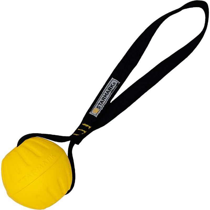 Brinquedo Para Cão Corda Com Bola 1 unidade