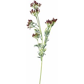 Haste Ramos Flores Rosa Kasa