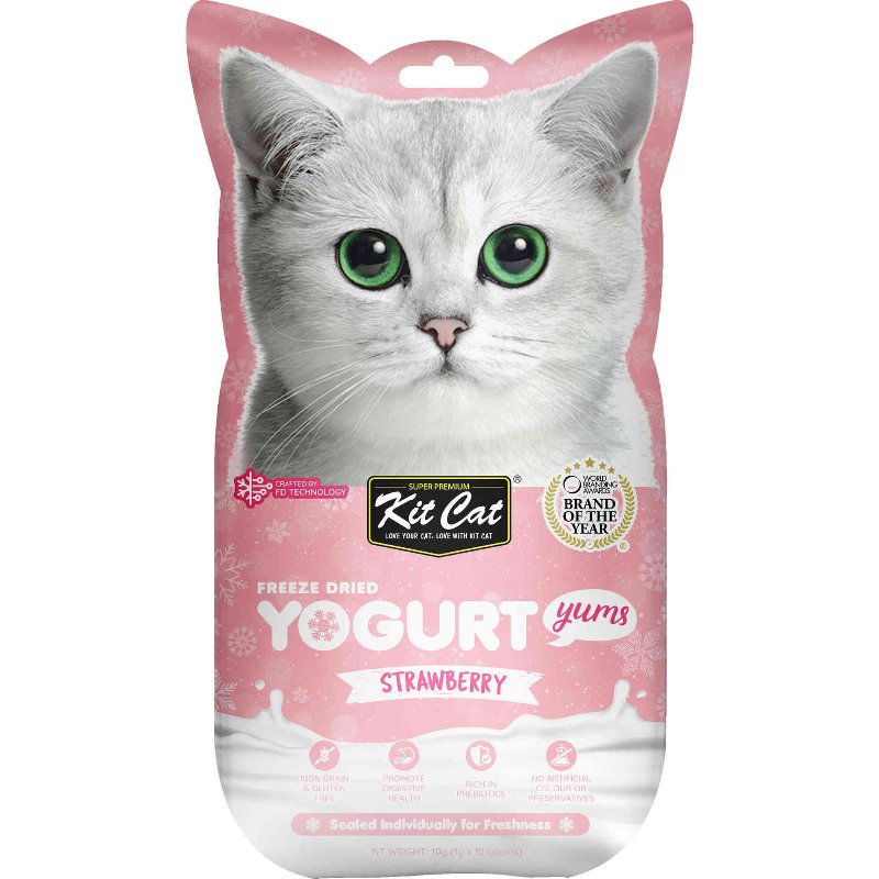Iogurte Para Gato Morango Kit Cat 10 gr