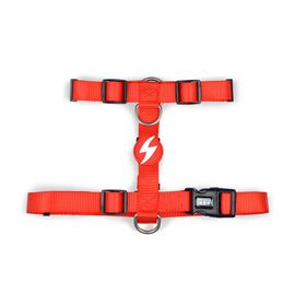 Arnês Para Cão Vermelho Xs Dashi 1 Un