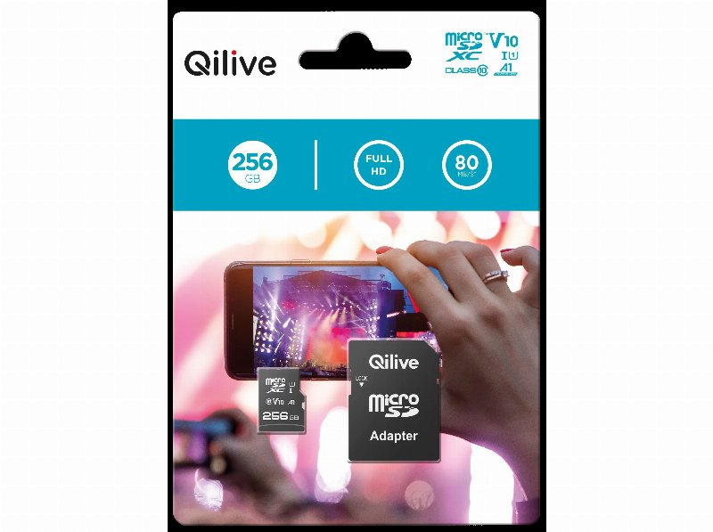 Cartão Memória Msd Qilive Cl.10 Uhs-I U1 V10 A1 256Gb