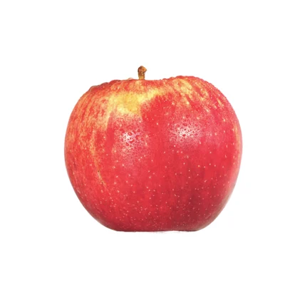 Maçã Gala Nossa Fruta E Legumes 0.16Kg