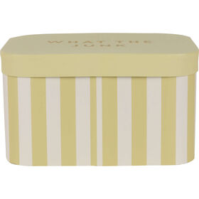 Caixa Riscas Largas Amarelas 25,5X17,5X14,5Cm Kasa