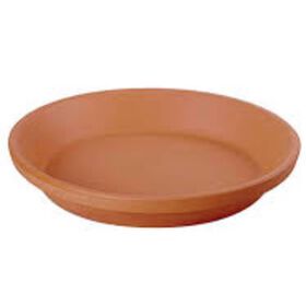 Prato Barro 17Cm Argoncilhe 1 Un