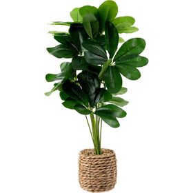 Vaso Seagrass Com Planta Artificial Kasa
