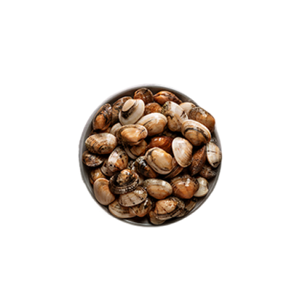 Amêijoa Macha Fresca Nossa Peixaria 0.5Kg