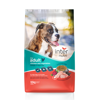 Comida Seca Para Cão Adulto Com Frango E Cereais Internutri 10Kg