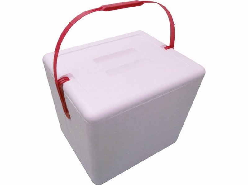 Geleira De Esferovite Polisur Asa Plástico 21 l