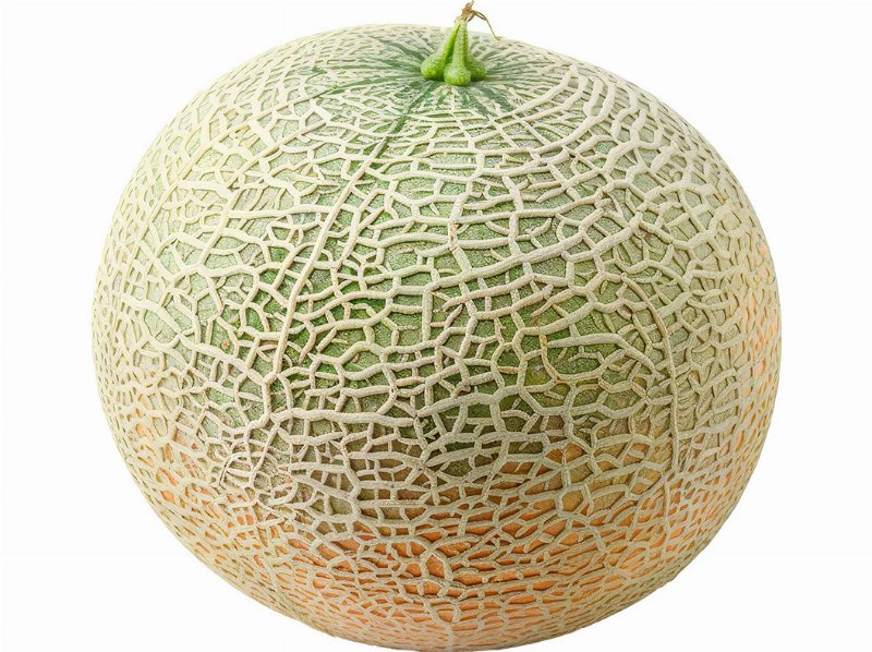 Meloa Cantaloupe Auchan Kg