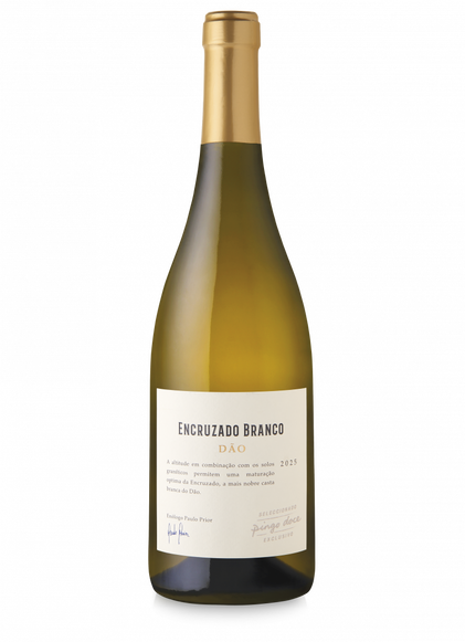 Vinho Branco Dão Pingo Doce Encruzado Pingo Doce 0.75L