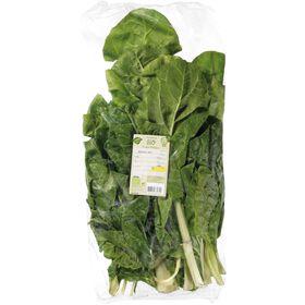 Acelga Biológica Continente Bio 350 gr