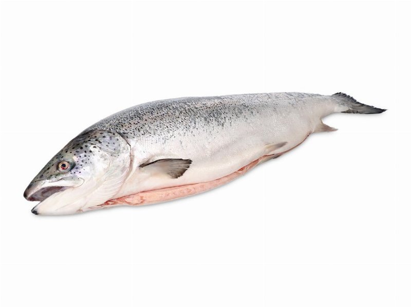 Salmão Inteiro Auchan Cultivamos O Bom 4/5 kg