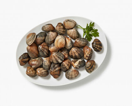 Amêijoa Japonesa Fresca Nossa Peixaria 0.5Kg