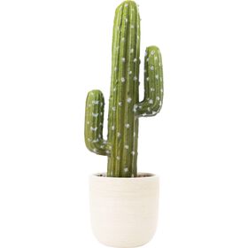 Planta Artificial Cato Com Vaso Branco Kasa