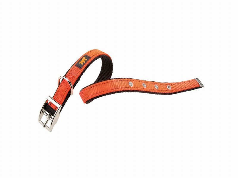 Coleira Cão Ferplast Dual Laranja Cf 15/35Cm