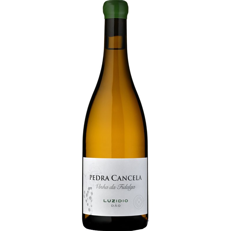 Vinho Branco Do Dão Vinha Da Fidalga Luzidio 75 cl