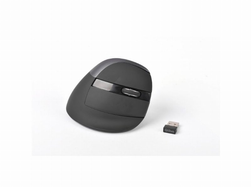 Rato Ergonómico Sem Fio Qilive Preto