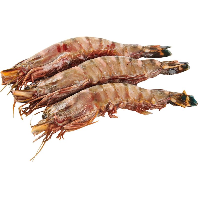 Camarão Tigre 4/6