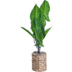 Planta Artificial Vaso Com Folhas Verdes 68Cm Kasa