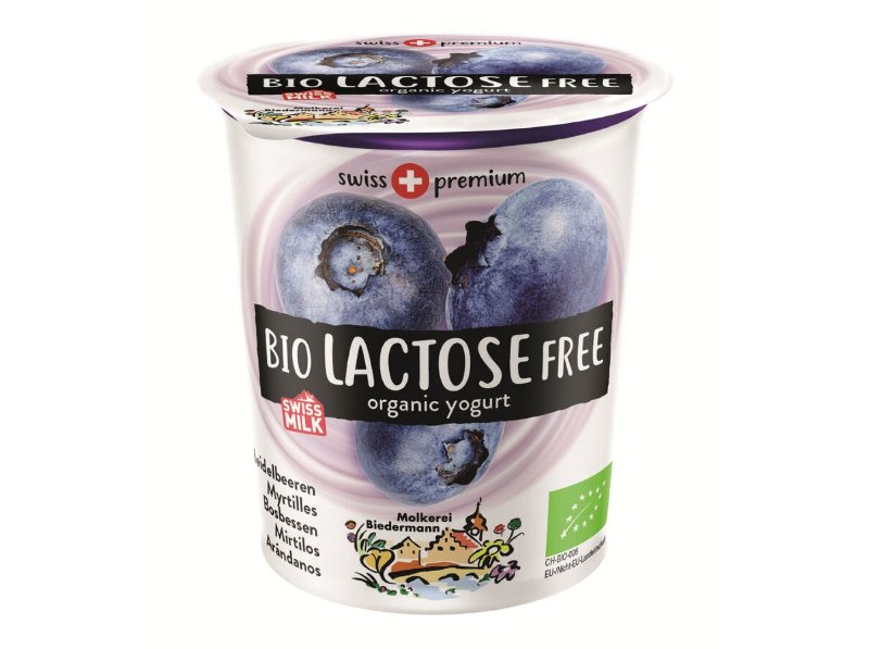 Iogurte Sem Lactose Biedermann Mirtilo Bio 200 g