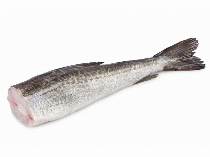 Cauda Pescada Grande (Peniche) Fresca Kg