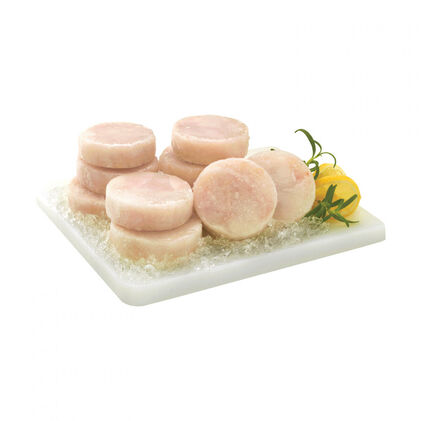 Rodelas/Postas De Pescada Congelada Embaladas Nossa Peixaria 1Kg