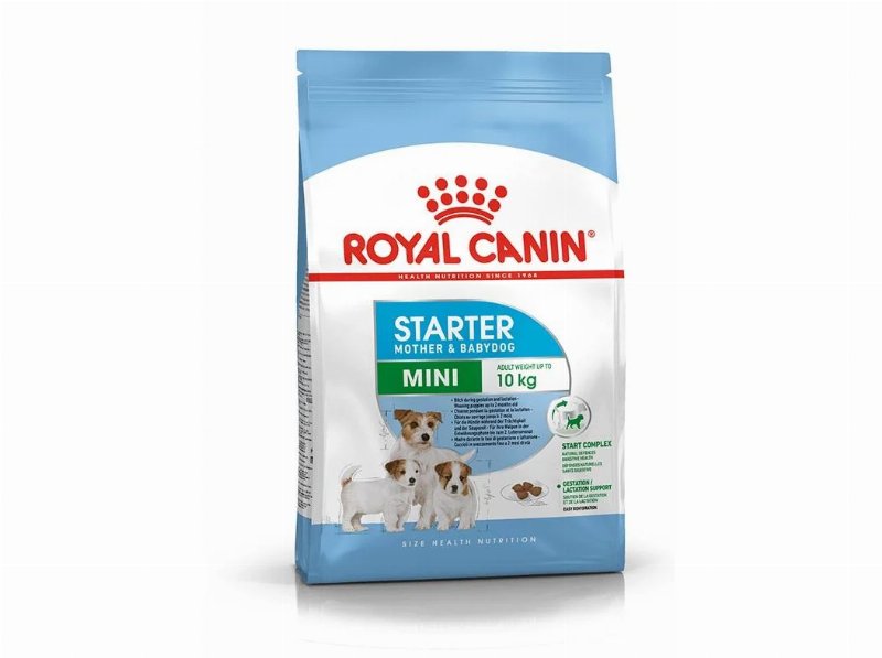 Alimento Seco Cão Royal Canin Mini Starter 1 kg