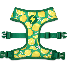 Peitoral Para Cão Eco Rio 2Xl Dashi 1 Un