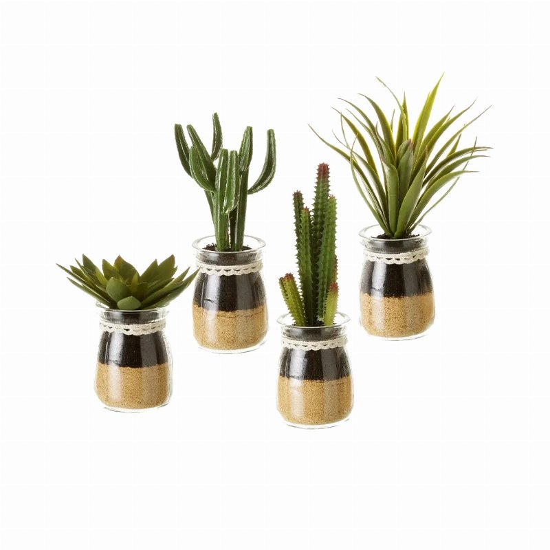 Hkh Cacto Artificial Vaso Redondo Vidro