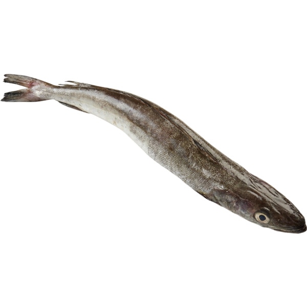 Pescada Nacional Peso Aproximado Por 1.5 kg