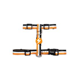 Arnês Para Cão Stripes3 Laranja E Preto L Dashi 1 Un