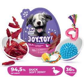 Snack Ovo Surpresa Para Cão Pato Joy&Toy 20 g