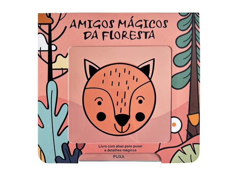 Livro Amigos Mágicos Da Floresta