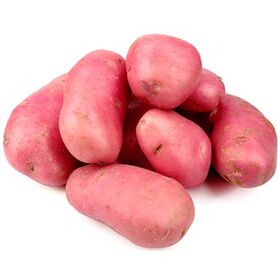 Batata Vermelha Continente