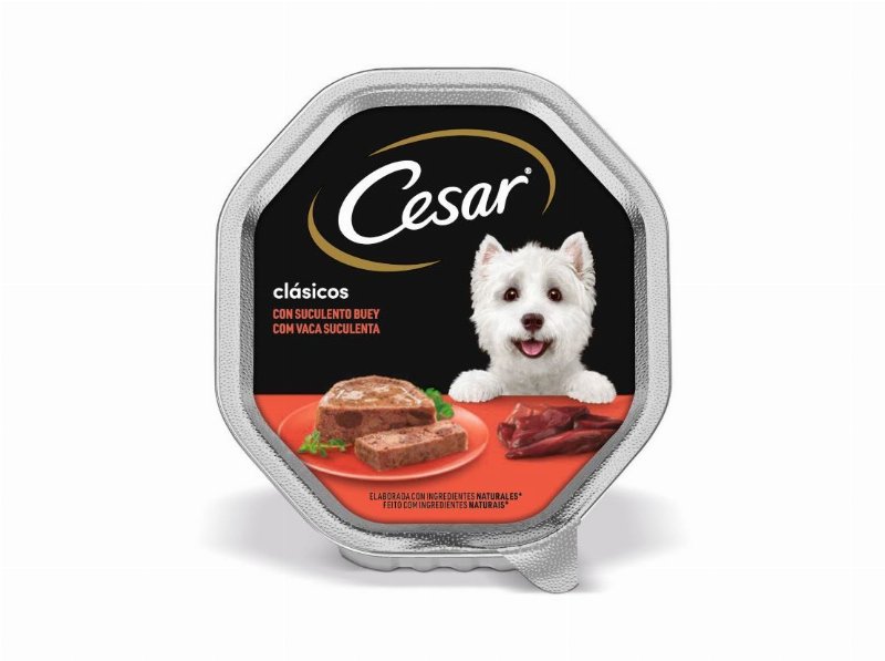 Comida Húmida Para Cão Terrina Cesar Com Vaca Em Patê 150 g