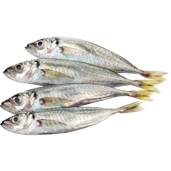 Carapau Pequeno Peso Aproximado Por 80 g