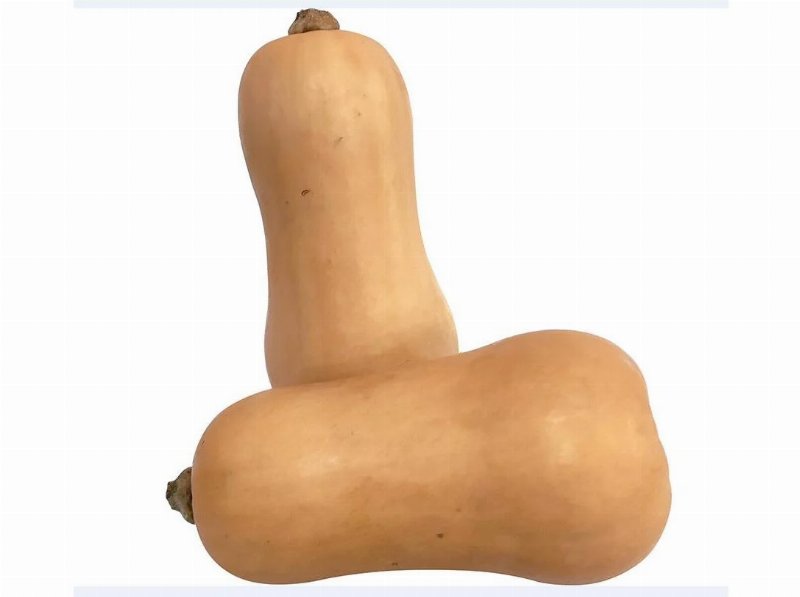 Abóbora Butternut Bio Kg