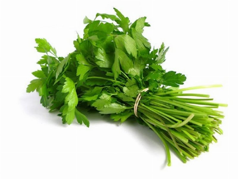 Coentros Frescos Kg Produto Local