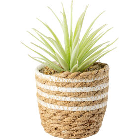Planta Artificial Vaso Palha Riscas Brancas Kasa