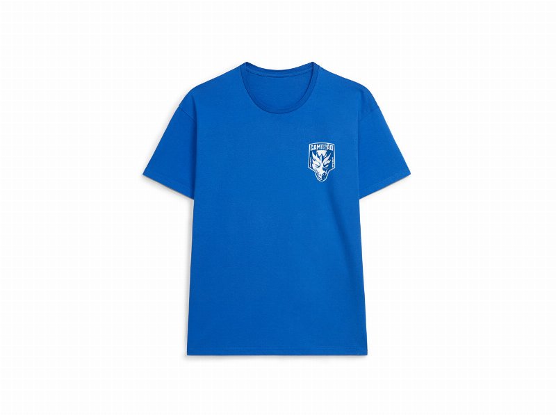 T-Shirt Azul Campeão Fc Porto Azul Tamanho Xxl