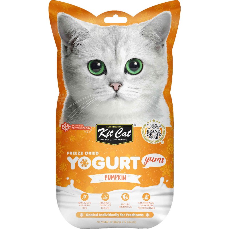 Iogurte Para Gato Abóbora Kit Cat 10 gr